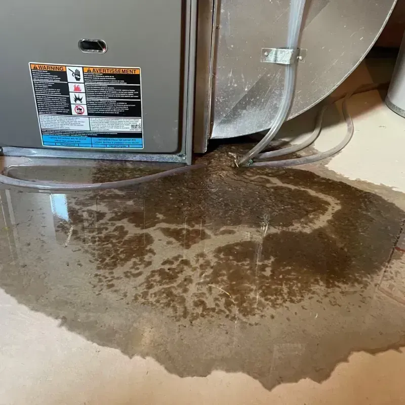 Appliance Leak Cleanup in Town and Country, WA